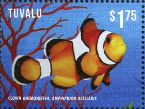 Colnect-3146-424-Clown-Anemonefish-Amphiprion-ocellaris.jpg