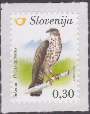 Colnect-3332-267-European-honey-buzzard-Pernis-apivorus.jpg