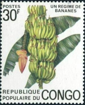 Colnect-5861-486-Banane-Musa-paradisiaca.jpg