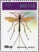 Colnect-3381-441-Giant-Ichneumon-Wasp-Rhyssa-rhyssa.jpg