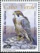 Colnect-3970-508-Cape-Verde-Peregrine-Falcon-Falco-peregrinus-madens-.jpg