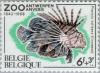 Colnect-184-900-Red-Lionfish-Pterois-volitans.jpg