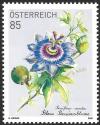 Colnect-6542-644-Blue-Passionflower-Passiflora-caerulea.jpg