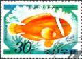 Colnect-723-839-Tomato-Clownfish-Amphiprion-frenatus.jpg