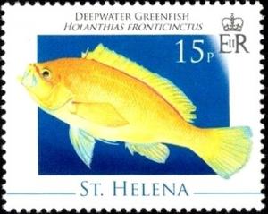 Colnect-5943-954-Deepwater-Greenfish-Holanthias-fronticinctus.jpg