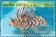 Colnect-3531-329-Red-Lionfish-Pterois-volitans.jpg