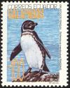 Colnect-2305-052-Galapagos-Penguin-Spheniscus-mendiculus-.jpg