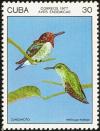 Colnect-2307-528-Bee-Hummingbird-Mellisuga-helenae.jpg