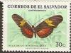 Colnect-2336-440-Mexican-Longwing-Heliconius-hortense.jpg