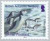 Colnect-2935-413-Chinstrap-Penguin-Pygoscelis-antarcticus.jpg