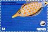 Colnect-3544-853-Long-nosed-filefish.jpg