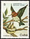 Colnect-3565-413-Bee-Hummingbird-Mellisuga-helenae.jpg