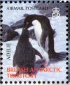 Colnect-4568-912-Adelie-Penguin-Pygoscelis-adeliae.jpg