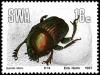 Colnect-5211-516-Green-Dung-Beetle-Garreta-nitens.jpg
