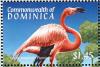 Colnect-5250-539-Caribbean-Flamingo-Phoenicopterus-ruber-ruber.jpg