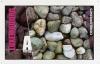 Colnect-628-586-Conglomerate-rocks.jpg