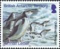 Colnect-2935-388-Chinstrap-Penguin-Pygoscelis-antarcticus.jpg