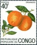 Colnect-5861-488-Orange-Citrus-sinensis.jpg