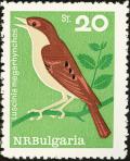 Colnect-621-473-Common-Nightingale-Luscinia-megarhynchos.jpg