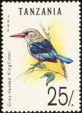 Colnect-821-860-Grey-headed-Kingfisher-Halcyon-leucocephala.jpg