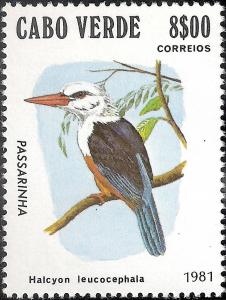 Colnect-1126-590-Grey-headed-Kingfisher-Halcyon-leucocephala.jpg