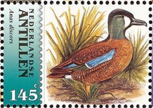 Colnect-1020-359-Blue-winged-Teal-Anas-discors.jpg