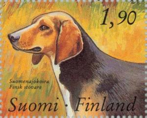 Colnect-160-016-Finnish-Flushing-Dog-Canis-lupus-familiaris.jpg