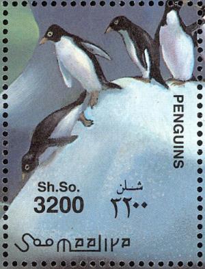 Colnect-1744-827-Adelie-Penguin-Pygoscelis-adeliae.jpg