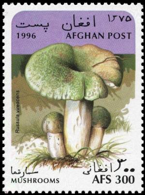 Colnect-3495-456-Green-cracking-russula-Russula-virescens.jpg