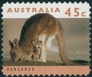 Colnect-3532-857-Red-Kangaroo-Macropus-rufus.jpg