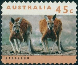 Colnect-3532-858-Red-Kangaroo-Macropus-rufus.jpg