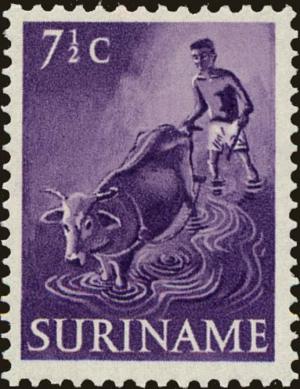 Colnect-4169-862-Plowing-with-Water-Buffalo.jpg