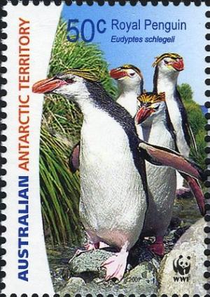 Colnect-4267-556-Royal-Penguin-Eudyptes-schlegeli.jpg