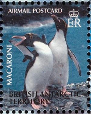 Colnect-4568-888-Macaroni-Penguin-Eudyptes-chrysolophus.jpg