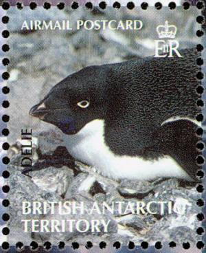Colnect-4568-909-Adelie-Penguin-Pygoscelis-adeliae.jpg