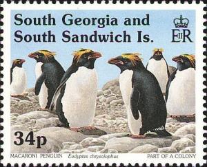 Colnect-4571-607-Macaroni-Penguin-Eudyptes-chrysolophus.jpg