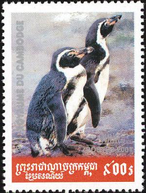 Colnect-803-087-Humboldt-Penguin-Spheniscus-humboldti.jpg