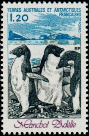 Colnect-886-034-Adelie-Penguin-Pygoscelis-adeliae.jpg