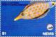 Colnect-3544-853-Long-nosed-filefish.jpg