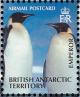Colnect-4568-884-Emperor-Penguin-Aptenodytes-forsteri.jpg