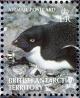 Colnect-4568-909-Adelie-Penguin-Pygoscelis-adeliae.jpg
