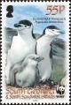 Colnect-4571-636-Chinstrap-Penguin-Pygoscelis-antarcticus.jpg