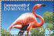 Colnect-5250-539-Caribbean-Flamingo-Phoenicopterus-ruber-ruber.jpg