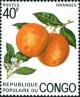Colnect-5861-488-Orange-Citrus-sinensis.jpg