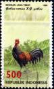 Colnect-940-838-Green-Junglefowl-Gallus-varius.jpg