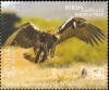 Colnect-7163-159-Spanish-Imperial-Eagle.jpg