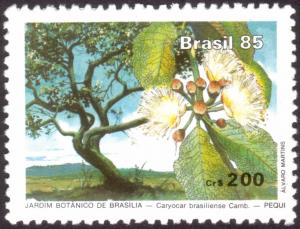 Colnect-3247-995-Botanic-Garden-Brasilia.jpg