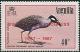Colnect-1925-318-Yellow-crowned-Night-Heron-Nyctanassa-violacea.jpg