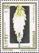 Colnect-3343-980-Kniphofia-insignis.jpg