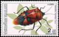 Colnect-2340-830-Man-faced-Stink-Bug-Catacanthus-incarnatus.jpg